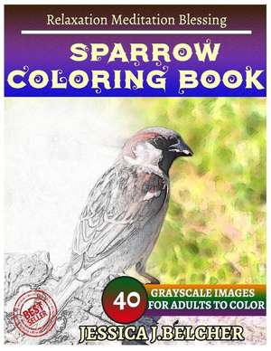 Sparrow Coloring Book for Adults Relaxation Meditation Blessing de Belcher, Jessica