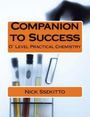 Companion to Success de Ssekitto, Nick