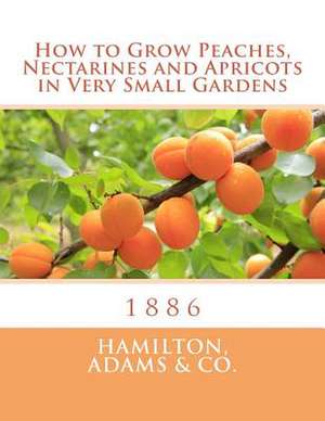 How to Grow Peaches, Nectarines and Apricots in Very Small Gardens de Hamilton, Adams &. Co