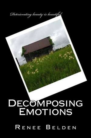 Decomposing Emotions de Renee Belden