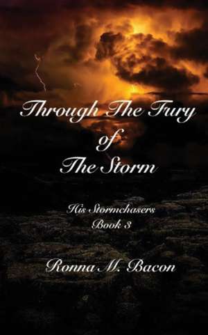 Through The Fury of The Storm de Ronna M. Bacon