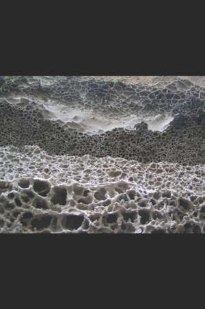 Dancing Ledge de Brian George