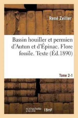 Bassin Houiller Et Permien d'Autun Et d'Épinac. Flore Fossile Texte Tome 2-1 de René Zeiller