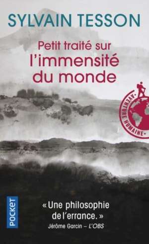 Petit traité sur l'immensité du monde de Sylvain Tesson