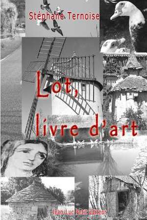 Lot, Livre D'Art: Hundred Art Photos of France de Stephane Ternoise