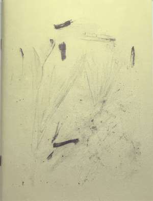 The Last Frontier de Bartolomé Sanson