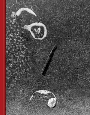Pareidolia de Sarah van Rij