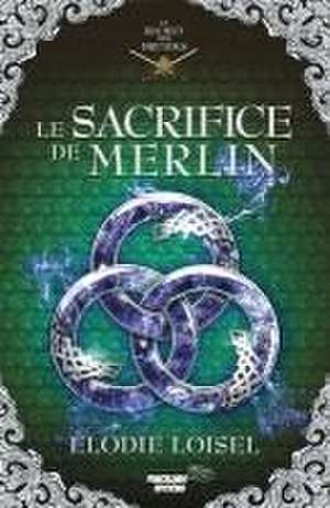 Loisel, E: Secret des Druides