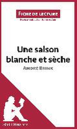 Une saison blanche et sèche d'André Brink (Analyse de l'oeuvre) de Lepetitlitteraire