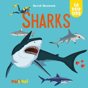 Sharks de David Hawcock