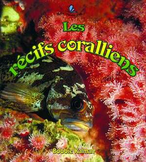 Les R'Cifs Coralliens de Kelley MacAulay