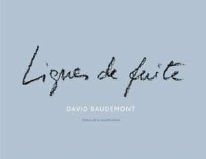 Lignes de fuite de David Baudemont