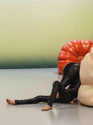 Mash Up de Anthea Hamilton