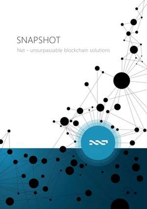 SNAPSHOT - Nxt unsurpassable blockchain solutions de Arthur Penzl