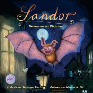 Sandor 01. Fledermaus mit Köpfchen de Dorothea Flechsig