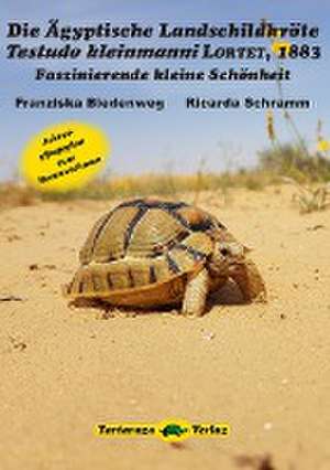 Die Ägyptische Landschildkröte Testudo kleinmanni LORTET, 1883 de Franziska Biedenweg