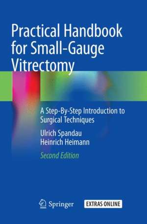 Practical Handbook for Small-Gauge Vitrectomy: A Step-By-Step Introduction to Surgical Techniques de Ulrich Spandau