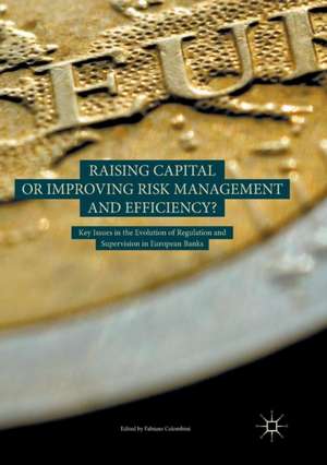 Raising Capital or Improving Risk Management and Efficiency?: Key Issues in the Evolution of Regulation and Supervision in European Banks de Fabiano Colombini