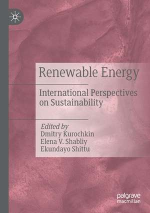 Renewable Energy: International Perspectives on Sustainability de Dmitry Kurochkin