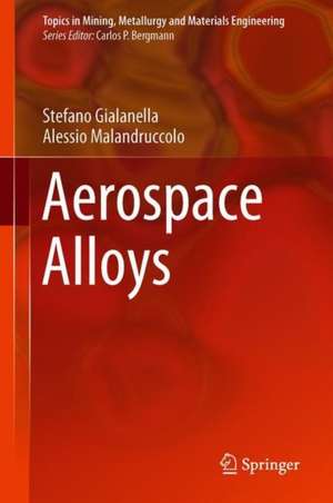 Aerospace Alloys de Stefano Gialanella