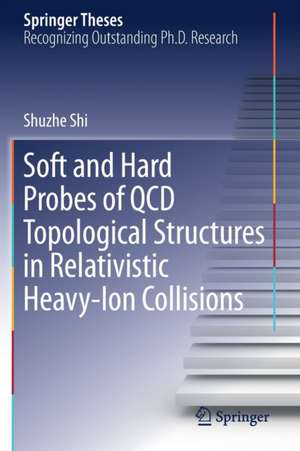 Soft and Hard Probes of QCD Topological Structures in Relativistic Heavy-Ion Collisions de Shuzhe Shi