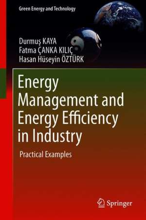 Energy Management and Energy Efficiency in Industry: Practical Examples de Durmuş Kaya