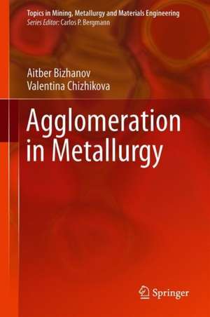Agglomeration in Metallurgy de Aitber Bizhanov
