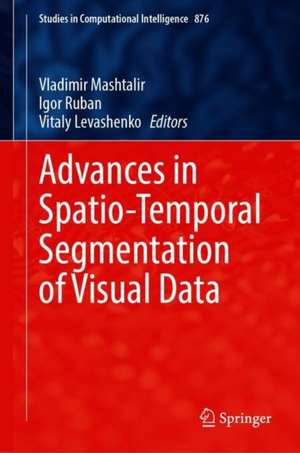 Advances in Spatio-Temporal Segmentation of Visual Data de Vladimir Mashtalir