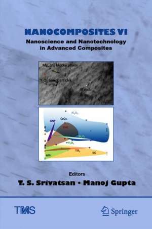 Nanocomposites VI: Nanoscience and Nanotechnology in Advanced Composites de T. S. Srivatsan