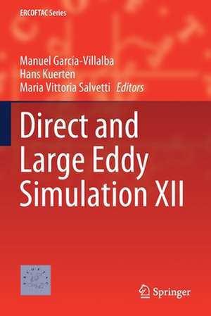 Direct and Large Eddy Simulation XII de Manuel García-Villalba