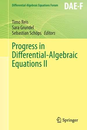 Progress in Differential-Algebraic Equations II de Timo Reis