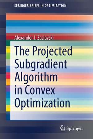 The Projected Subgradient Algorithm in Convex Optimization de Alexander J. Zaslavski