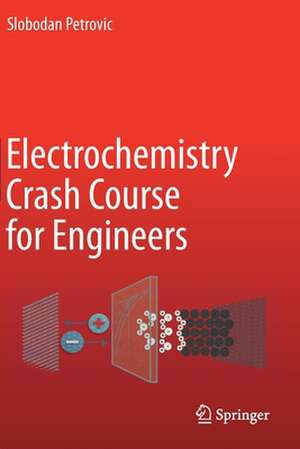 Electrochemistry Crash Course for Engineers de Slobodan Petrovic