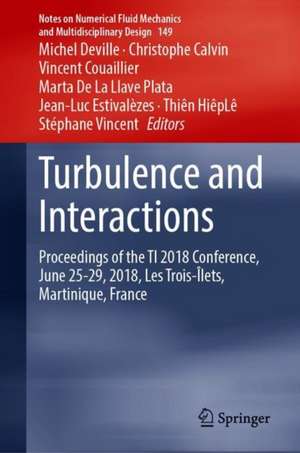 Turbulence and Interactions de Michel Deville