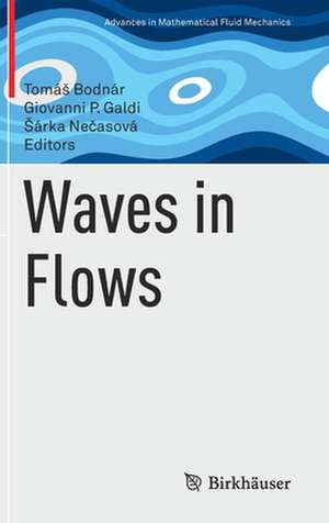Waves in Flows de Tomáš Bodnár