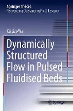 Dynamically Structured Flow in Pulsed Fluidised Beds de Kaiqiao Wu