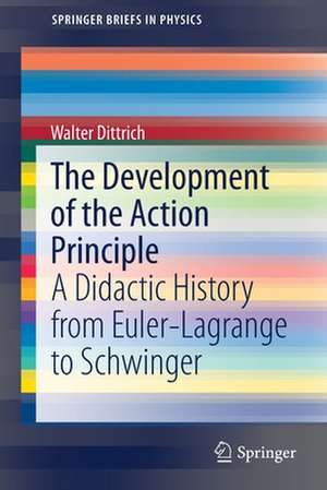 The Development of the Action Principle: A Didactic History from Euler-Lagrange to Schwinger de Walter Dittrich