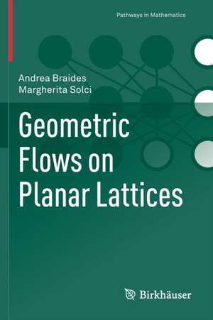 Geometric Flows on Planar Lattices de Andrea Braides