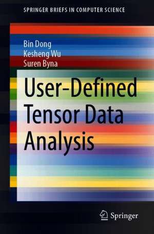 User-Defined Tensor Data Analysis de Bin Dong