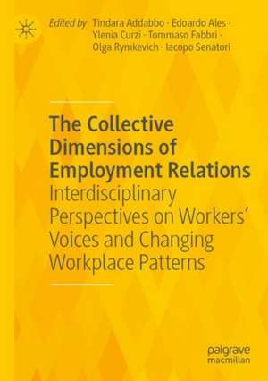 The Collective Dimensions of Employment Relations: Interdisciplinary Perspectives on Workers’ Voices and Changing Workplace Patterns de Tindara Addabbo