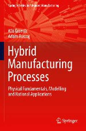 Hybrid Manufacturing Processes: Physical Fundamentals, Modelling and Rational Applications de Wit Grzesik