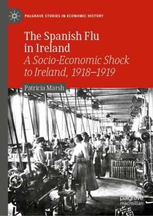 The Spanish Flu in Ireland: A Socio-Economic Shock to Ireland, 1918–1919 de Patricia Marsh