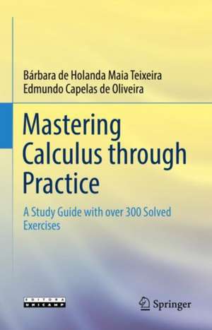 Mastering Calculus through Practice: A Study Guide with over 300 Solved Exercises de Bárbara de Holanda Maia Teixeira