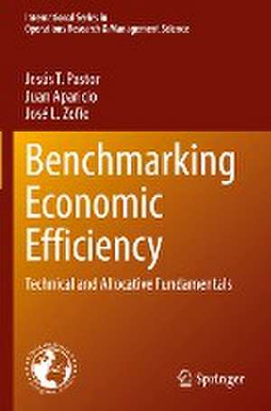 Benchmarking Economic Efficiency: Technical and Allocative Fundamentals de Jesús T. Pastor