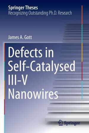 Defects in Self-Catalysed III-V Nanowires de James A. Gott