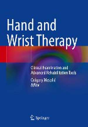 Hand and Wrist Therapy: Clinical Examination and Advanced Rehabilitation Tools de Grégory Mesplié