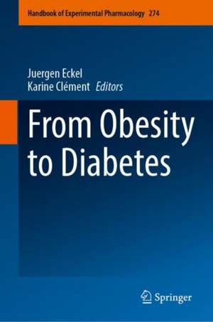 From Obesity to Diabetes de Juergen Eckel