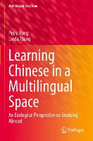 Learning Chinese in a Multilingual Space: An Ecological Perspective on Studying Abroad de Peiru Tong