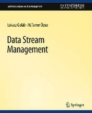 Data Stream Management de Lukasz Golab