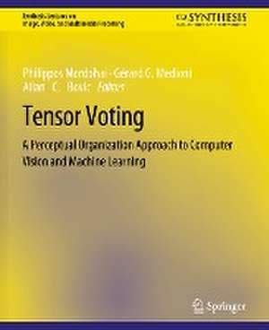 Tensor Voting: A Perceptual Organization Approach to Computer Vision and Machine Learning de Philippos Mordohai